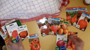 Помидоры 2023 г