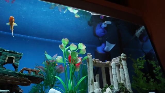 ?Музыка для быстрого засыпания. Легкая прозрачная мелодия. Музыка для сна.#1 смотреть онлайн