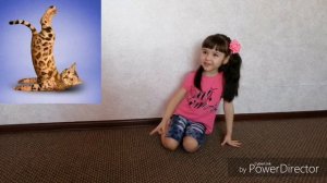 Повторяю прикольные позы животных!!!