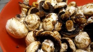 ГРИБЫ на МАНГАЛЕ. Шашлык из Грибов!!! Шампиньоны на МАНГАЛЕ.