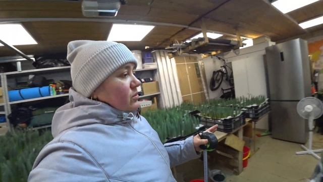 Осталось три недели | Середина выгонки 2023 смотреть онлайн