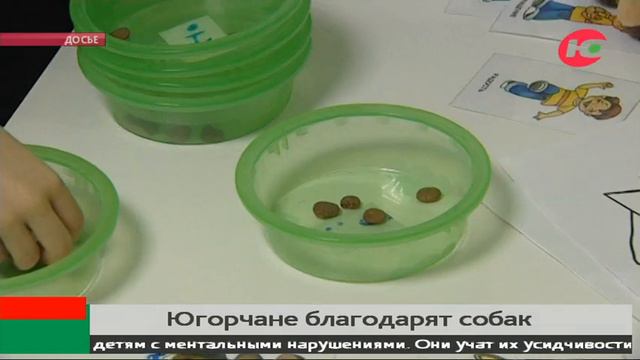 Югорчане благодарят собак