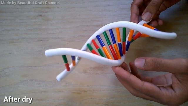 How to Make DNA Model Using Clay || Rotating DNA Model смотреть онлайн