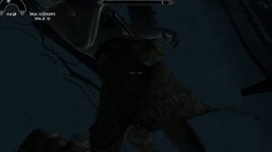 Skyrim LE #11 Ведьмино гнездо