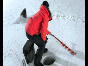 Акула | Тариф «Супер Ноль» МТС