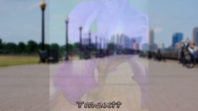 Sony A390/ Alpha 390 Photography (Beginner) 2 смотреть онлайн