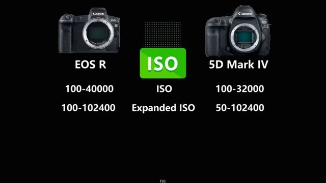 Canon EOS R vs Canon EOS 5D Mark IV смотреть онлайн