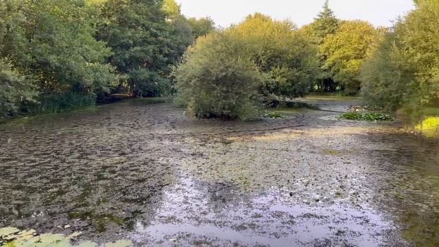 Semi-wild camping Lakemoor Devon kayak, campfire, helm compact 2. смотреть онлайн