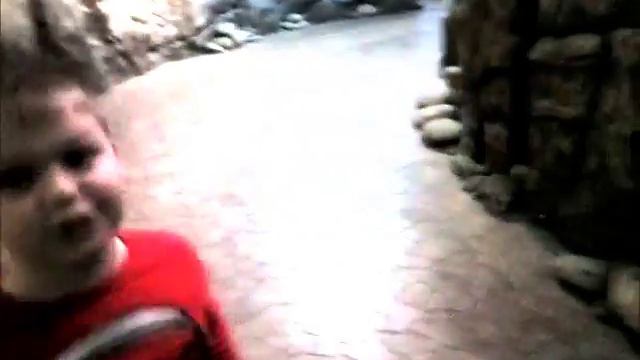 Посещение Воронежского океанариума смотреть онлайн