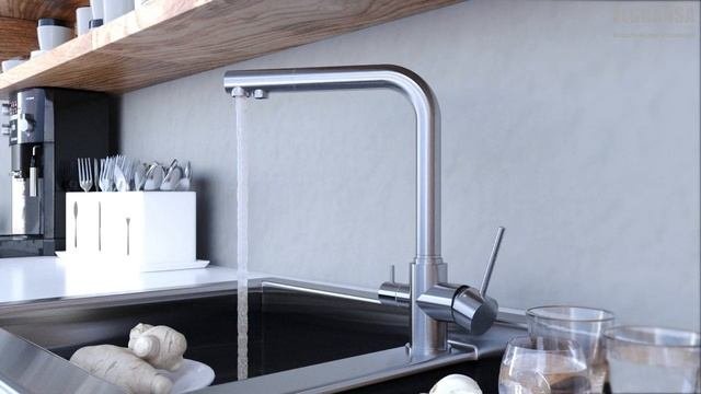 Современный смеситель для кухни из нержавеющей стали ELGHANSA арт.56A5216-Steel для фильтра