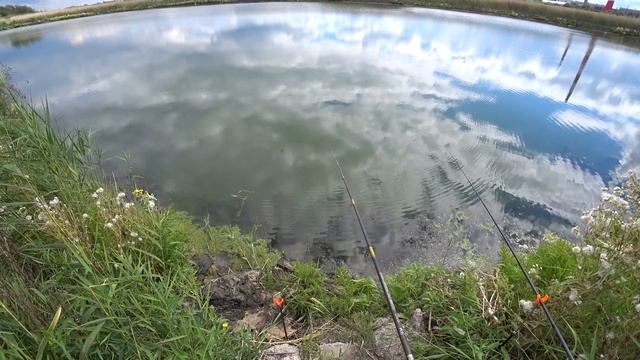 Гольян достал . Как гольян не давал карасю поесть . смотреть онлайн