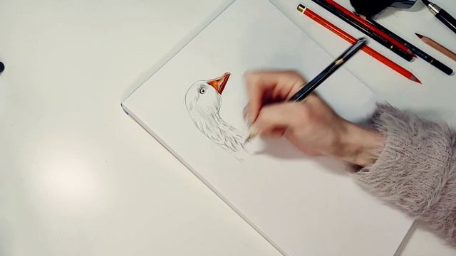 День 13. Рисую гуся. Скетч карандашом смотреть онлайн