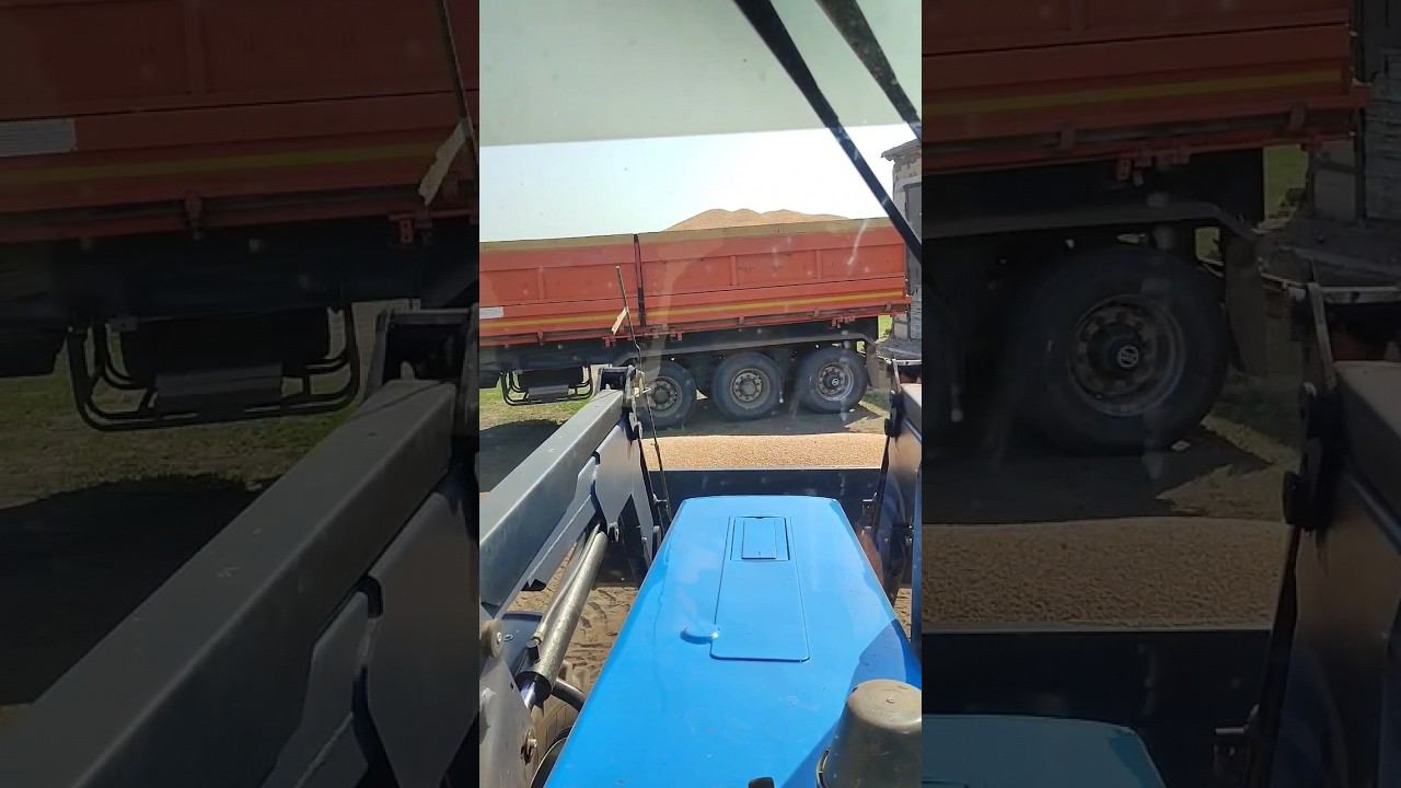 погрузка пшеницы турс 1500 смотреть онлайн