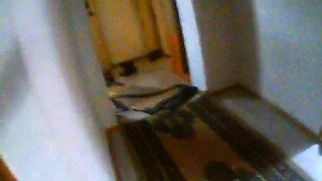 Петух на КРЫШЕ!))) смотреть онлайн