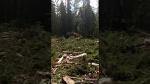 Харвестер Volvo 220 с головой ponsse H7