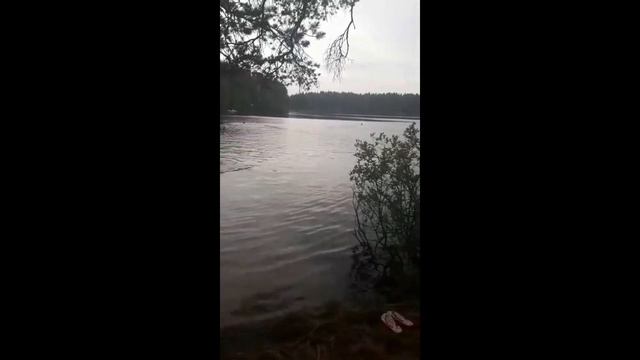 VLOG.СЕВЕРНОЕ МОРЕ. ФИНСКИЙзалив летом! Настроение 🤗