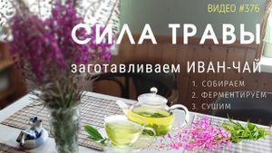 #376 ИВАН-ЧАЙ | сбор | ферментация | сушка