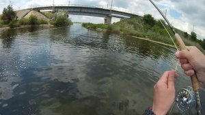 Ловля краснопёрки нахлыстом на стример | Fly Fishing for Rudd