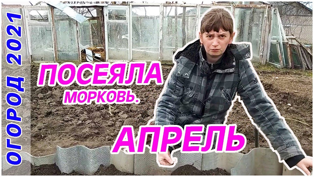 ОГОРОД 2021. ПОСЕВ РАННЕЙ МОРКОВИ ВЕСНОЙ. АПРЕЛЬ. #зелень #морковь