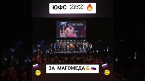 юфс 282 ?