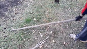 СУЧКОРЕЗ FISKARS L74 (спустя два года работы в саду)