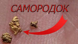 ВОТ ТАК ПРОСТО  МОЖНО НАЙТИ ЗОЛОТОЙ САМОРОДОК!
