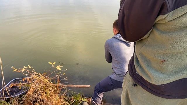 Как проехать на озеро Кошкино, Глухое, Шапкино, в конный клуб "Есаул", пейнтбольный клуб "Кандагар" смотреть онлайн