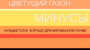Газонная трава. Как выбрать ч.1