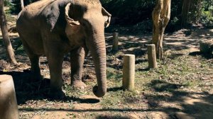 Ужасные отзывы об отеле Naina Resort Patong. Начало зимовки в Тае.