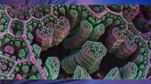 §11 "Бактерии", Биология 5 класс, Сивоглазов, Плешаков.mp4