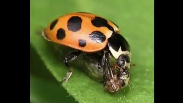 19 марта 2024 г. смотреть онлайн