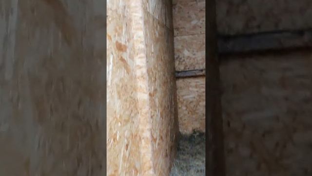 Алабаи, вольеры, осень 2021 смотреть онлайн