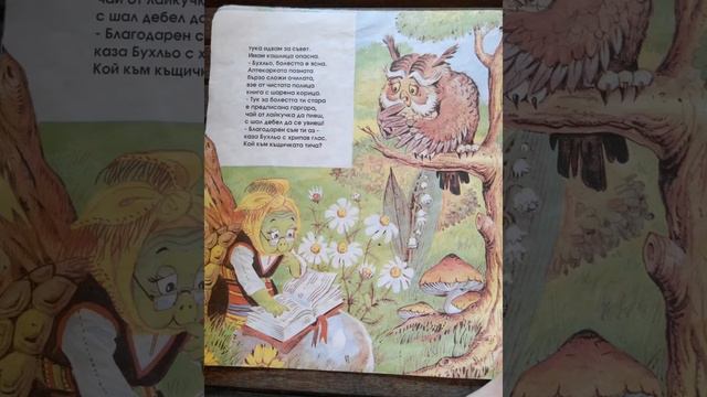 Горската аптека | pharmacy in the woods смотреть онлайн