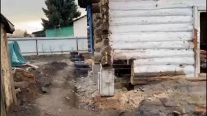 Ремонт старого дома. Замена фундамента, венцов, пола.
