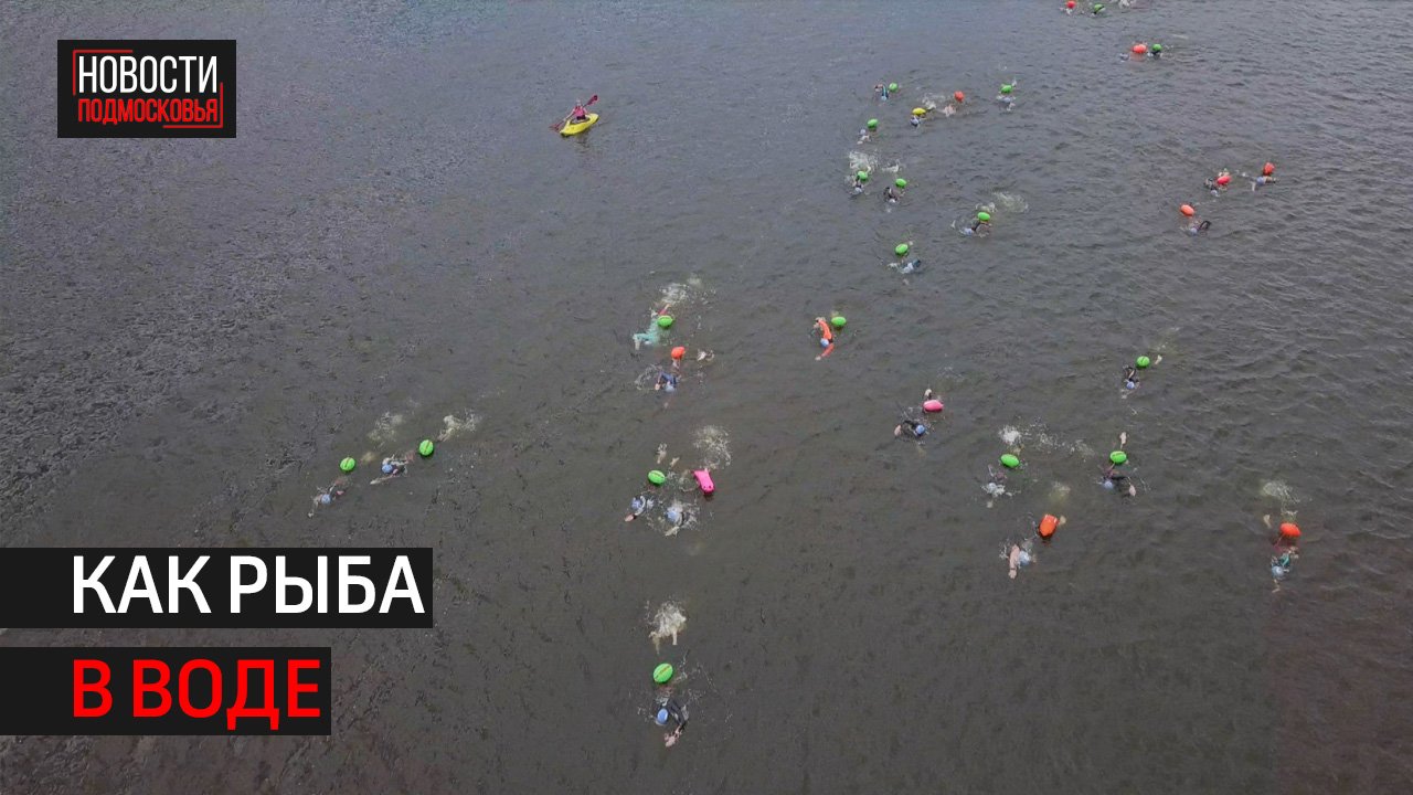 На Истринском водохранилище прошёл массовый заплыв на открытой воде