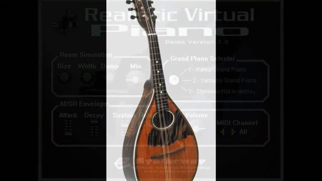 Novelty Accordion (Erik Frank) Harmodion Accordion, Mandolin, Piano VST VST3 Audio Unit 32/64 bit