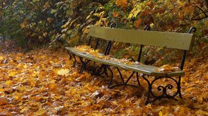 МНЕ ТВЕРДЯТ, Галина Хомчик.mp4