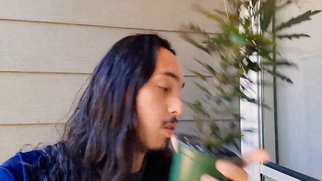 How to grow False Aralia (Plerandra elegantissima) смотреть онлайн