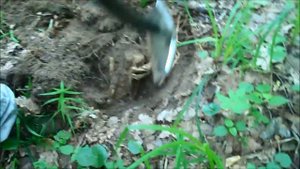 коп на месте 50 армии в брянской обл часть 3