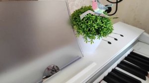 РЕГИСТРЫ в музыке!