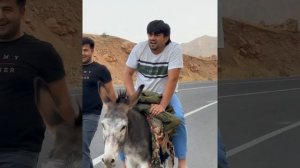 Голиб Шов Дар Рохи Дарвоз Хара 🐎капидан 😂