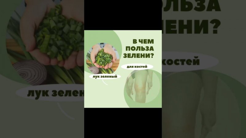 4 июля 2024 г.