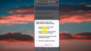 Samsung Galaxy S10 : How to change bluetooth audio LDAC Codec (android pie)