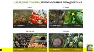 Удобрения для картофеля при посадке названия