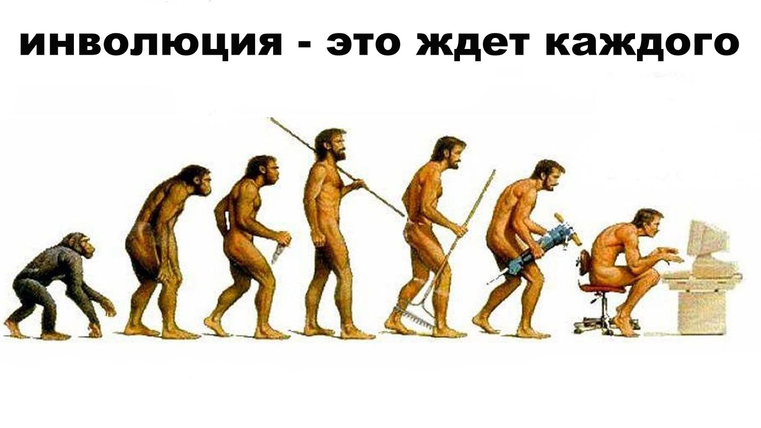 Сочетание процессов эволюции и инволюции. Эволюция Дарвин хомо. Хомо сапиенс Эволюция. Хомо сапиенс обезьяна.