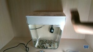 Акваферма. Распаковка и обзор