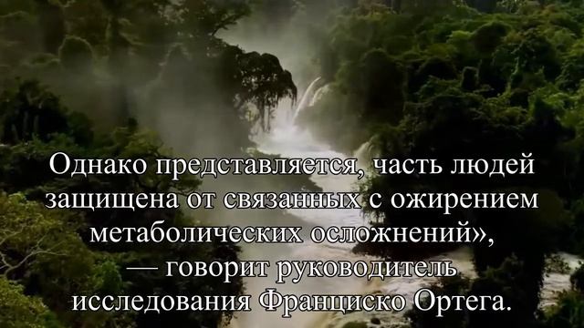 Полные люди лучше преодолевают болезни, чем худые — Статья смотреть онлайн
