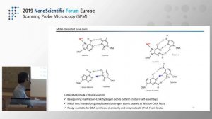 Metallo-DNA molecules as a tool for nanoscience and nanotechnology | Miguel A. Galindo | 2019NSFE