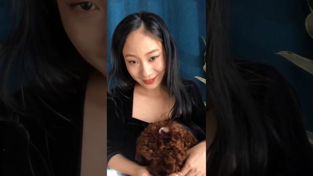 some Chinese words related dog,do you have dog?#chinese #dog #mandarin # смотреть онлайн