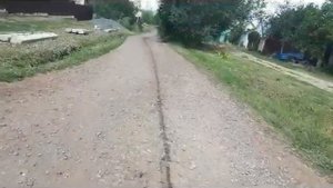 Переволоцкий, улица Рябиновая
